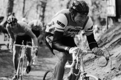 Sean Kelly vor Theo de Rooy an der Mauer von Geraardsbergen - Omloop Het Volk 1982